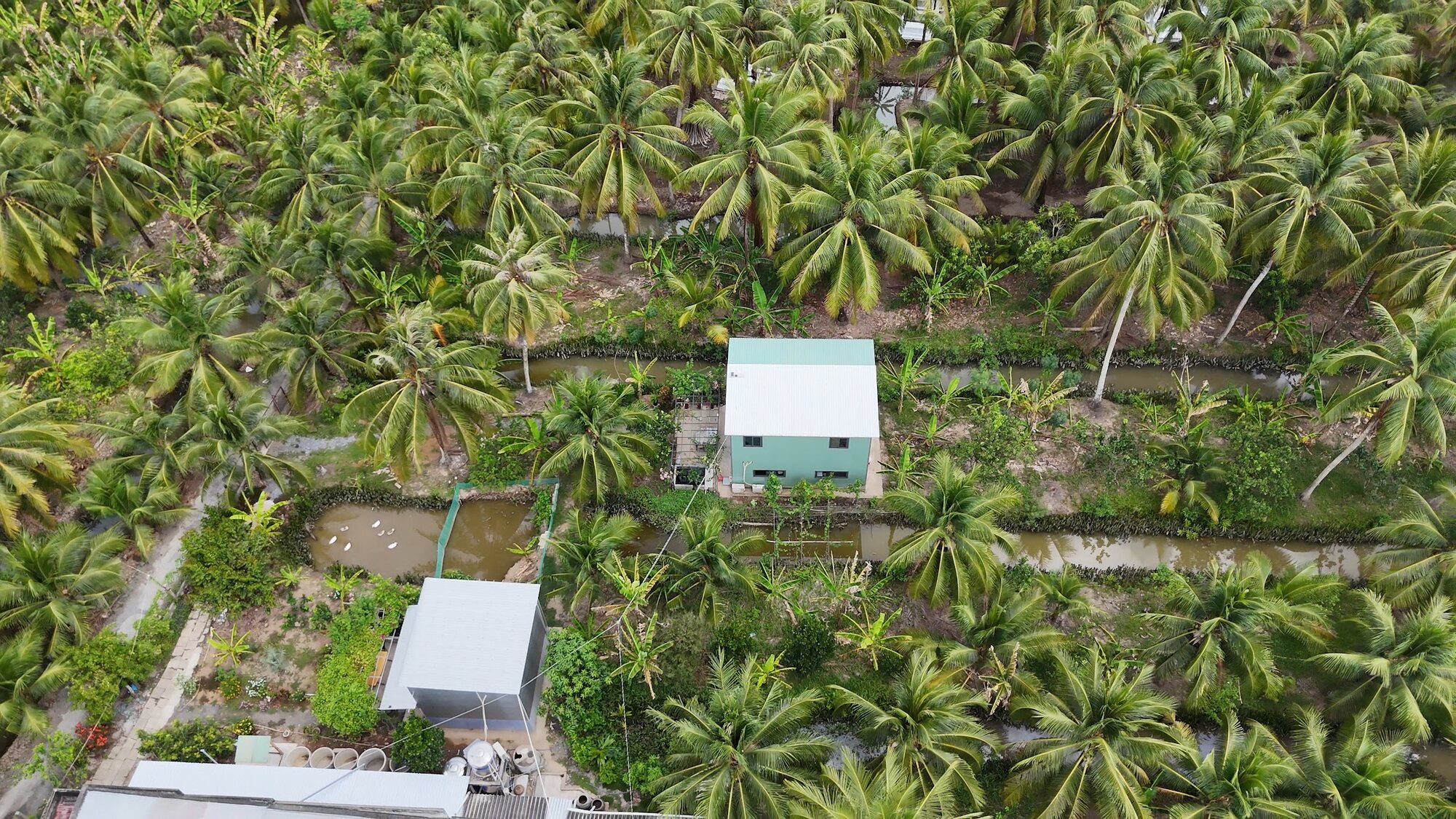 Aerial view of Coco Happy Farm surrounded by dense coconut gardens in Luong Hoa